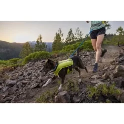Ruffwear Trail Runner™ Leine -Tierbedarf Fach Geschäfte a5e8a95b67ab4a40ed78579217427f0ab0222efa 1651448 de DE 5a8260028b8fd2772da5e61732fbde05b9e5b903tiQYKB