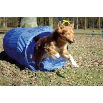 Dobar Agility Tunnel, 60 X 500 Cm 3 Dobar Agility Tunnel, 60 X 500 Cm – Bild 3