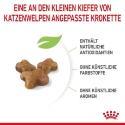 ROYAL CANIN Kitten 4 Kg 19 ROYAL CANIN Kitten 4 Kg -Tierbedarf Fach Geschäfte a8df74b6725246cc1c5fa7ed87e8fdc0a4cfc24f 3182550702973 6