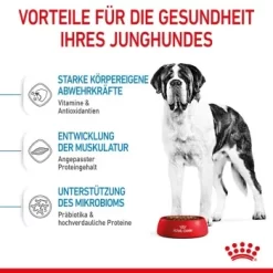 ROYAL CANIN Giant Junior 15 Kg -Tierbedarf Fach Geschäfte ac9391ed060fc88f758d4d37f9e70e5ec4c12fb1 3182550707077 5