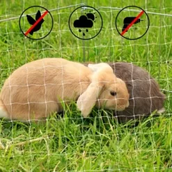 Lionto Katzennetz Inkl. Befestigung -Tierbedarf Fach Geschäfte ad1b651d8bcc461ab7a5d32a4c77b44e521cf768 1665913 de DE 7c500006d9abf3223e26fa8841d70bed2db024adIv4nbt