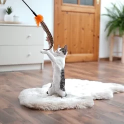 Schlitzohr Federwedel Birdy 3er Pack -Tierbedarf Fach Geschäfte ad71433917b4c75207a76b8cde2a63e28ac6a3f4 1659562 de DE 3439e97a8a6ef7574f0506829a0694961b8792bfHS2VqL