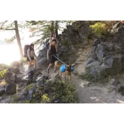 Ruffwear Approach™ Hunderucksack Blau M -Tierbedarf Fach Geschäfte adb6fe53f35c002880a11fdf955223282473e71e 1639823 de DE d58a64010d5b9dcf26c55b9da34cfb41fef50ac2cwioux