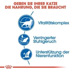 ROYAL CANIN Indoor 7+ 3,5 Kg -Tierbedarf Fach Geschäfte b15b3a341edb82d3b0b2fbcdfa1085a485519ef2 8029a12bcb04e5bfd8b7a4d93e4a2c997c8d2856