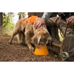 Ruffwear Bivy™ Faltbarer Napf -Tierbedarf Fach Geschäfte b21f85e12f046bba6b04285e99963c46170021f9 1651613 de DE 125ef372cbb05a1c89e3245701a5cdf0079102b6GpOPij
