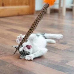 Schlitzohr Federwedel Birdy 3er Pack -Tierbedarf Fach Geschäfte b2468018bd2b888c11ee64154d86732de60c7830 1659562 de DE 7d36675a42a956412d003b03e1f072b0ae0379063UsHBd