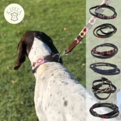 Kipita Polo Hundeleine Rainbow 9 Kipita Polo Hundeleine Rainbow -Tierbedarf Fach Geschäfte b3f1e5d5edb12499cecef8d448554ac29ebee2a8 1410921 de DE bdee305cb3dca22d05c60bfa89eba9d9a1a952e5I3W93C