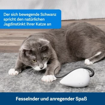 PetSafe Automatisches Katzenspielzeug RoloRat 6 PetSafe Automatisches Katzenspielzeug RoloRat – Bild 6