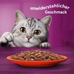 Whiskas Mega Pack 1+ Klassische Auswahl In Sauce 40 X 85g 9 Whiskas Mega Pack 1+ Klassische Auswahl In Sauce 40 X 85g -Tierbedarf Fach Geschäfte b8bf2de8eb7738000e5afc2cec07342be5657174 1410718 de DE Whiskas 6
