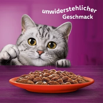 Whiskas Mega Pack 1+ Klassische Auswahl In Sauce 40 X 85g 3 Whiskas Mega Pack 1+ Klassische Auswahl In Sauce 40 X 85g – Bild 3