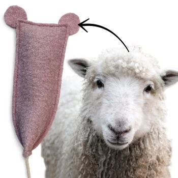 Kater Kasimir Kitten Paket Mit 3 Premium Katzenspielzeugen 6 Kater Kasimir Kitten Paket Mit 3 Premium Katzenspielzeugen – Bild 6