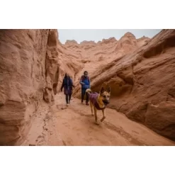 Ruffwear Overcoat Fuse™ Hundejacke Violett XXS -Tierbedarf Fach Geschäfte be1df80a58a073c4a06905f9850fdb02868343c3 1639761 de DE 6b99be5157e3de813670a6d4268b03b177d774edbPJ4YO