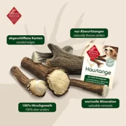 ChronoBalance Geweih Halbiert (S) 2er Paket -Tierbedarf Fach Geschäfte be3e8828dbd8c5e4de21dbf7f98cb10ae77181fa 1418685 de DE 902a389be4b99eb60431c66affbaefe4377d7689G3K9Kr