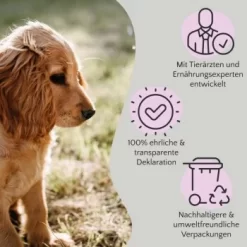 FAVLY Petfood FAVLY Probierpaket "Meat Roll" 19 FAVLY Petfood FAVLY Probierpaket "Meat Roll" -Tierbedarf Fach Geschäfte bfb84361d73f660a80f9bdd3b9c7b03b3a337624 1475312 de DE 908544d2c24927cde4ce8f1acefe41ebea7bec296Yut1c