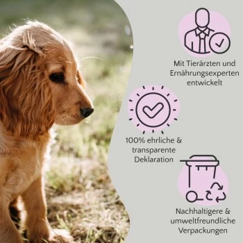 FAVLY Petfood FAVLY Probierpaket "Meat Roll" 9 FAVLY Petfood FAVLY Probierpaket "Meat Roll" – Bild 9