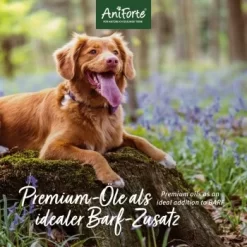 Aniforte Futteröl Premium BARF-Line 1 Liter -Tierbedarf Fach Geschäfte c11fa3ad0ee5c6826c484345380568a056b17d4e 1422212 de DE 471b9cb1eddf1a4e11196a5eee91fabdcb31b23fFEv6G3