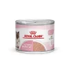 ROYAL CANIN Mother & Babycat Mousse 12x195 G