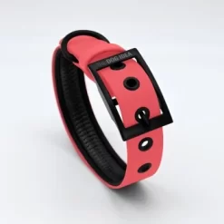 THE DOG IDEA Biothane Halsband Coral Koralle M 10 THE DOG IDEA Biothane Halsband Coral Koralle M -Tierbedarf Fach Geschäfte c336ea2eabd8b3ef6ca12413bd38712a8baaf7c4 1481102 de DE e17b5762f4bd144fff72f096154f681c748ae0a64G9YEu