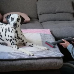 THOMAS AQUA+ Pet & Family 17 THOMAS AQUA+ Pet & Family -Tierbedarf Fach Geschäfte c3381bf4158feb85ebfd3f3d8bb59ef108b95290 1408595 de DE f1089c65a30ba894d2939997310129f1b316d2cdCtnGOW