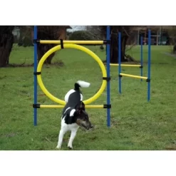 Dobar 3-teiliges Agility Sprung-Set,, Inkl. Tragetasche 8 Dobar 3-teiliges Agility Sprung-Set,, Inkl. Tragetasche -Tierbedarf Fach Geschäfte c7c9dd298510f0bd74d586405ecbd396df04c759 313726f2dd166c5ec13855d4374275bbe5eeeeec