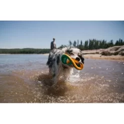 Ruffwear Hydro Plane™ Spielzeug L Blau/ Türkis 17 Ruffwear Hydro Plane™ Spielzeug L Blau/ Türkis -Tierbedarf Fach Geschäfte c85f56c174e45f26bb8b85eb8209e1187b03cb62 1364299 de DE 9aa31f36273b943af3517e0584e57ea49be3ad7aNQkaUi