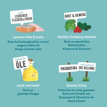 Edgard & Cooper Senior Huhn & ASC Lachs 6x400g 3 Edgard & Cooper Senior Huhn & ASC Lachs 6x400g – Bild 3