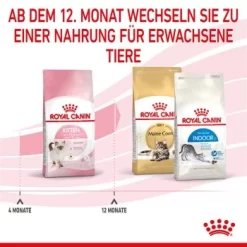 ROYAL CANIN Kitten 4 Kg 15 ROYAL CANIN Kitten 4 Kg -Tierbedarf Fach Geschäfte cf133300f1a1c045b6143772211651d61c06ad62 3182550702973 7