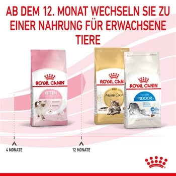 ROYAL CANIN Kitten 4 Kg 6 ROYAL CANIN Kitten 4 Kg – Bild 6