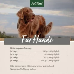 Aniforte Special Mix 2,4 Kg 11 Aniforte Special Mix 2,4 Kg -Tierbedarf Fach Geschäfte d067e51d019f833d60f69955d48e8136d69af8d5 1422198 de DE ecf8c646fa9f7a73ce2de360e52f7434941d6424rLOIlc