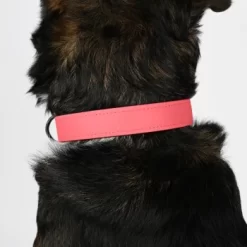 THE DOG IDEA Biothane Halsband Coral Koralle M 7 THE DOG IDEA Biothane Halsband Coral Koralle M -Tierbedarf Fach Geschäfte d5f8439cd9eb0bffd0db58197fdb2886aad94f59 1481102 de DE 04abd84310e177cf7de7056337cd5c2ebd810e21elaUWd