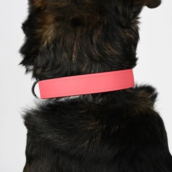THE DOG IDEA Biothane Halsband Coral Koralle M 2 THE DOG IDEA Biothane Halsband Coral Koralle M – Bild 2