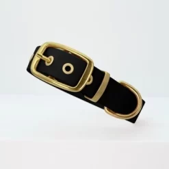THE DOG IDEA Biothane Halsband Gold Schwarz XS -Tierbedarf Fach Geschäfte d9e3ff0533f005d4ea9574e709549404fe1017df 1655410 de DE e623b6a0565fba7c060dba5e6a356eabf0949a0ex5afTX