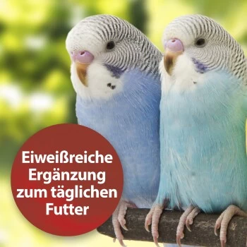 Quiko Bierhefe 400g: Eiweißreiche Ergänzung Zum Täglichen Futter Für Ziervögel 3 Quiko Bierhefe 400g: Eiweißreiche Ergänzung Zum Täglichen Futter Für Ziervögel – Bild 3