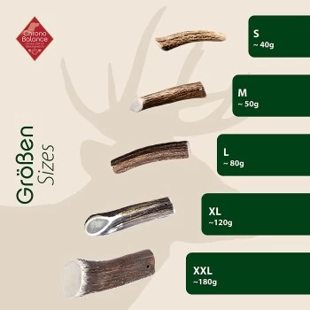 ChronoBalance Geweih Halbiert (L) 2er Paket 5 ChronoBalance Geweih Halbiert (L) 2er Paket – Bild 5