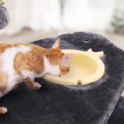 FEANDREA Mit Fressnapf Hellgrau Dunkelgrau -Tierbedarf Fach Geschäfte e0612f58e6cb8d822363112fdb47bb295de5e04a 1483606 de DE e41e735793de6f9347f2d50bd4d135ecb01beb8bnoaNEc