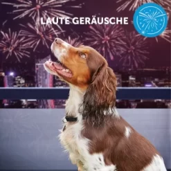 ADAPTIL Calm Halsband Anti Stress Erziehungshalsband S-M -Tierbedarf Fach Geschäfte e065c94a1eadac38177e4f3120e975f32282355e 1204441 10