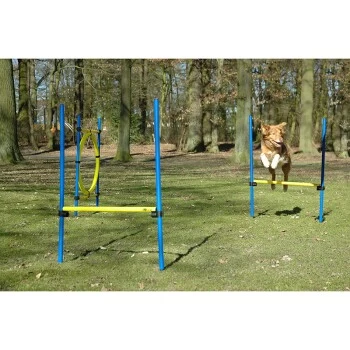Dobar 3-teiliges Agility Sprung-Set,, Inkl. Tragetasche 2 Dobar 3-teiliges Agility Sprung-Set,, Inkl. Tragetasche – Bild 2