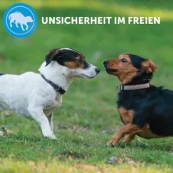 ADAPTIL Calm Halsband Anti Stress Erziehungshalsband S-M -Tierbedarf Fach Geschäfte e220fc002f83144152ad7157c15120ad2d9d8471 1204441 8