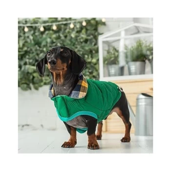 GF Pet Reversible Trail Jacke Grün XXS 2 GF Pet Reversible Trail Jacke Grün XXS – Bild 2