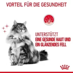 ROYAL CANIN Hair & Skin Care 2 Kg -Tierbedarf Fach Geschäfte e72e5a130ddb229ae62e4146a3b2cfdcf7f8fd19 1003122007 4