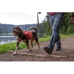 Ruffwear Front Range™ Hundetagesrucksack Rot XS -Tierbedarf Fach Geschäfte ecc2342d30f723199676137e5ad8c45ad3ce0796 1639836 de DE fe8e077ce41ec4d12619357e7402d2ee7ca63fed0L7PK6