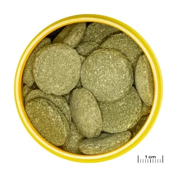 JBL PRONOVO PLECO WAFER Futtertabletten Für Herbivore Saugwelse XL 250 Ml 2 JBL PRONOVO PLECO WAFER Futtertabletten Für Herbivore Saugwelse XL 250 Ml – Bild 2