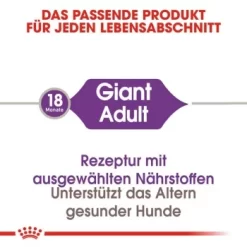 ROYAL CANIN Giant Adult 15 Kg -Tierbedarf Fach Geschäfte ed9579eaa299fbe87be5c9e9f73803983768bfb1 5e230ffc96ab4f1f8b62238aa9e6009b00bab5d1