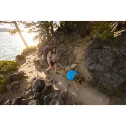 Ruffwear Approach™ Hunderucksack Blau M -Tierbedarf Fach Geschäfte ef4d63e3dd4c6da0deffc56634b4bd65ad146a9f 1639823 de DE 678ddbcc5122ae3b95b2b1aea19ca4362f0f613a37GFwr