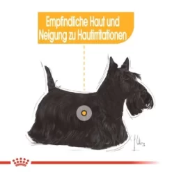 ROYAL CANIN Dermacomfort 12x85g 9 ROYAL CANIN Dermacomfort 12x85g -Tierbedarf Fach Geschäfte f025218e3734e4ef2bacefaa65e8366d2f0017c2 3d7369da65a5a0ca4b90b5a0e66cc99a26067f6e