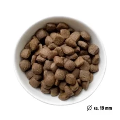 Eat Small EatSmall 2x10kg Trockenfutter Active Maxi -Tierbedarf Fach Geschäfte f029f79ebd1150d7eaef1707c6fefae845d8bae1 1492082 de DE 7be7b6abbd10a501ad4eda906b0ca458956766a1l3FEXb