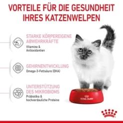 ROYAL CANIN Kitten 4 Kg 18 ROYAL CANIN Kitten 4 Kg -Tierbedarf Fach Geschäfte f4a05d762cdc5e6b170f6edd236e6bd5b7278cb0 3182550702973 5