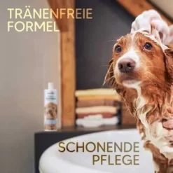 Pawlie's Welpenshampoo 10 Pawlie's Welpenshampoo -Tierbedarf Fach Geschäfte f56801adb1bee6d0b5fdd328d641fa773ce5d4c4 1626204 de DE 7b87b87a2e48e8c0e12b98c918c4d75b538aae40E5TfEc
