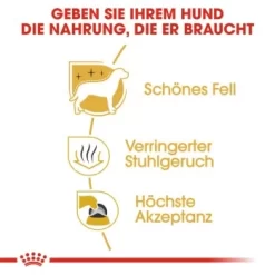 ROYAL CANIN Maltese Adult 1,5 Kg 1,5 Kg 9 ROYAL CANIN Maltese Adult 1,5 Kg 1,5 Kg -Tierbedarf Fach Geschäfte f90d9ba88cab85146ee9a6174a35779689441d96 eb360bae359894307615e39cafb2510583920689