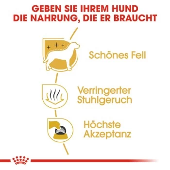 ROYAL CANIN Maltese Adult 1,5 Kg 1,5 Kg 4 ROYAL CANIN Maltese Adult 1,5 Kg 1,5 Kg – Bild 4